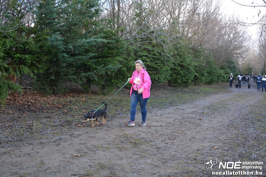 dsc_1268.jpg