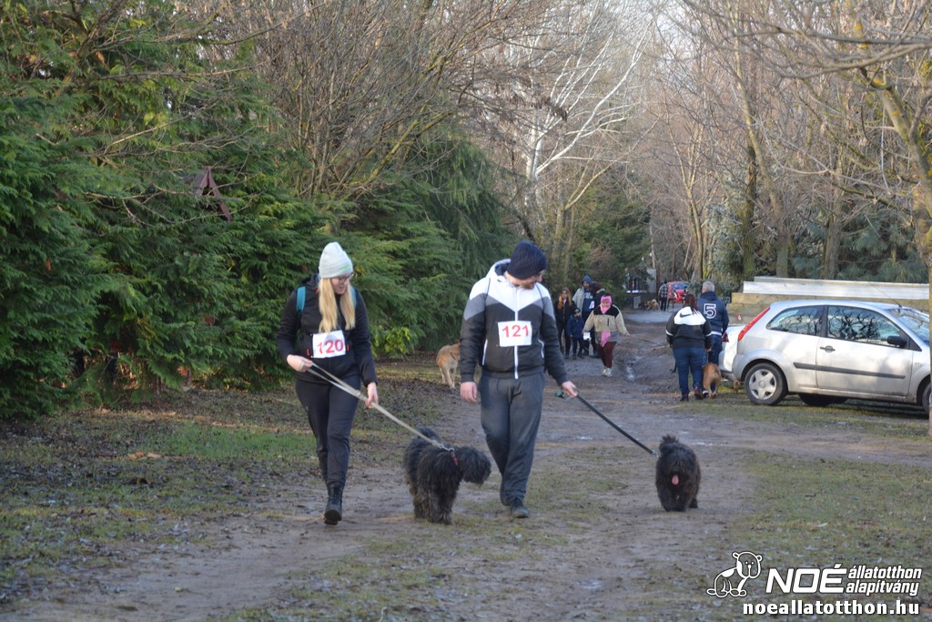 dsc_1269.jpg