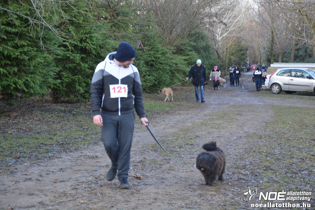dsc_1271.jpg