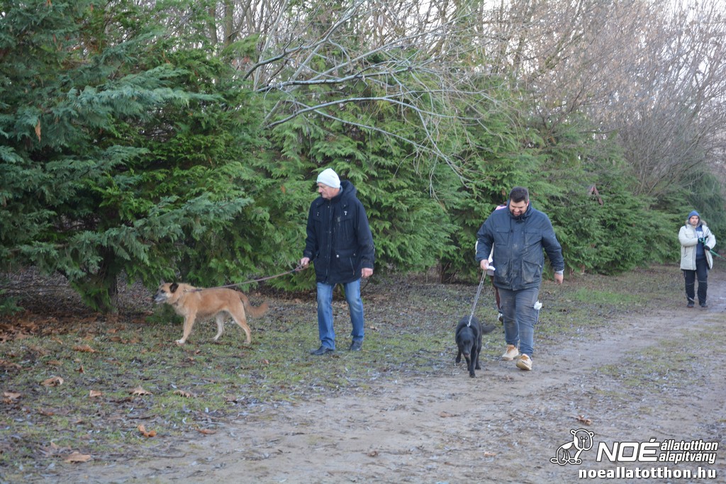 dsc_1275.jpg