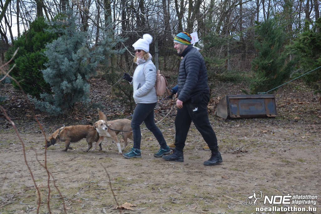 dsc_1322.jpg