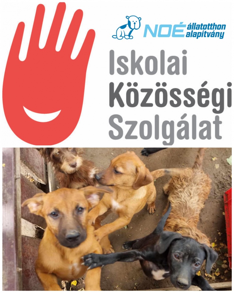 kozossgiszolg.jpg