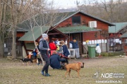 dsc02025_nagy.jpeg