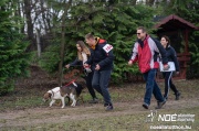 dsc02113_nagy.jpeg