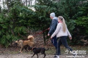 dsc02135_nagy.jpeg