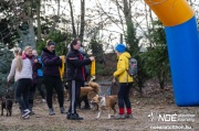 dsc02142_nagy.jpeg