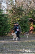 dsc02395_nagy.jpeg