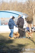 dsc02431_nagy.jpeg