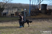 dsc_1122.jpg