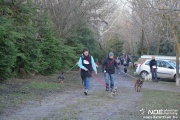 dsc_1264.jpg
