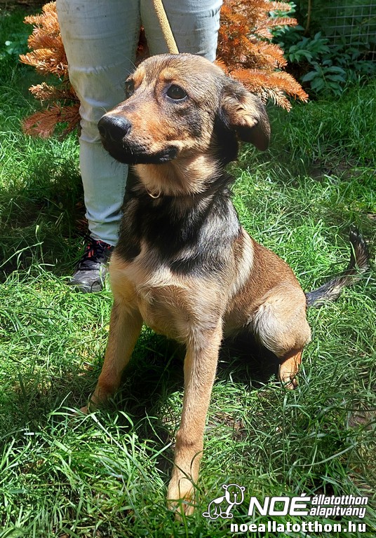 image0.13_11.jpg