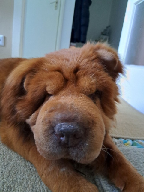 img9d0409e01245cf2f9ea6.jpg