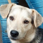 Bilbo