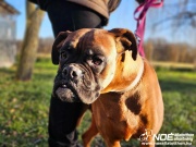 ezy_watermark_04012025__2.jpeg