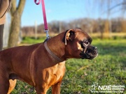 ezy_watermark_04012025__4.jpeg