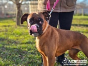 ezy_watermark_04012025__6.jpeg