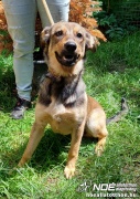 image0.14_11.jpg