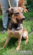 image0.15_7.jpg