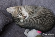 img_2273_2.jpg