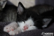 img_2276.jpg