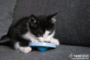 img_2327.jpg