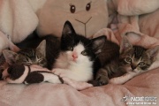 img_2444_2.jpg