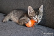 img_2525.jpg