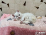 img_5518.jpg