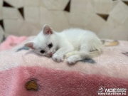 img_5523.jpg