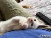 img_5745_1.jpg