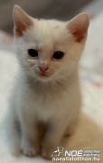 img_5754.jpg