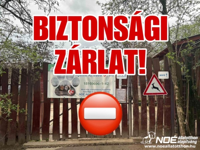 zarlat.jpg