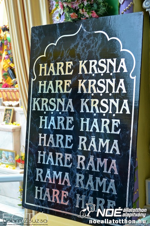 krisna_089.jpg