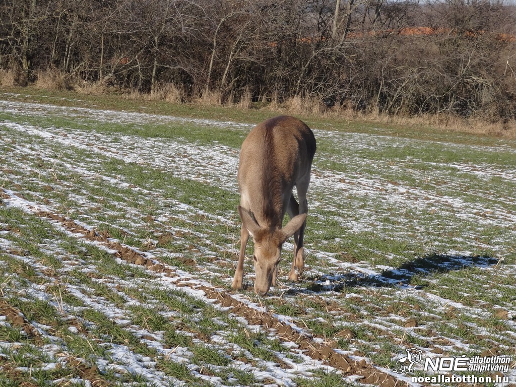 dsc02910.jpg