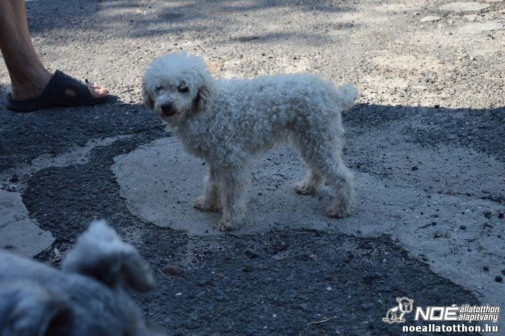 dsc_0040.jpg