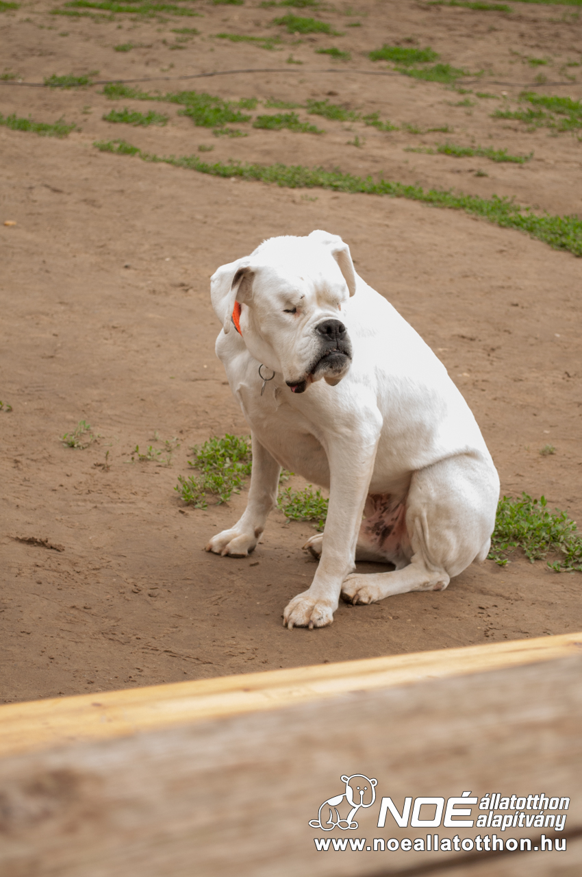 dsc_0165_3.jpg