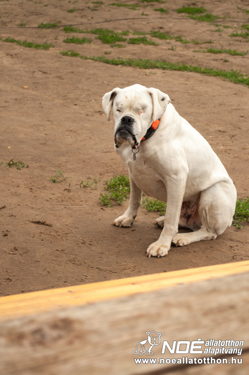 dsc_0168_2.jpg
