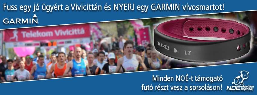 garmin.jpg