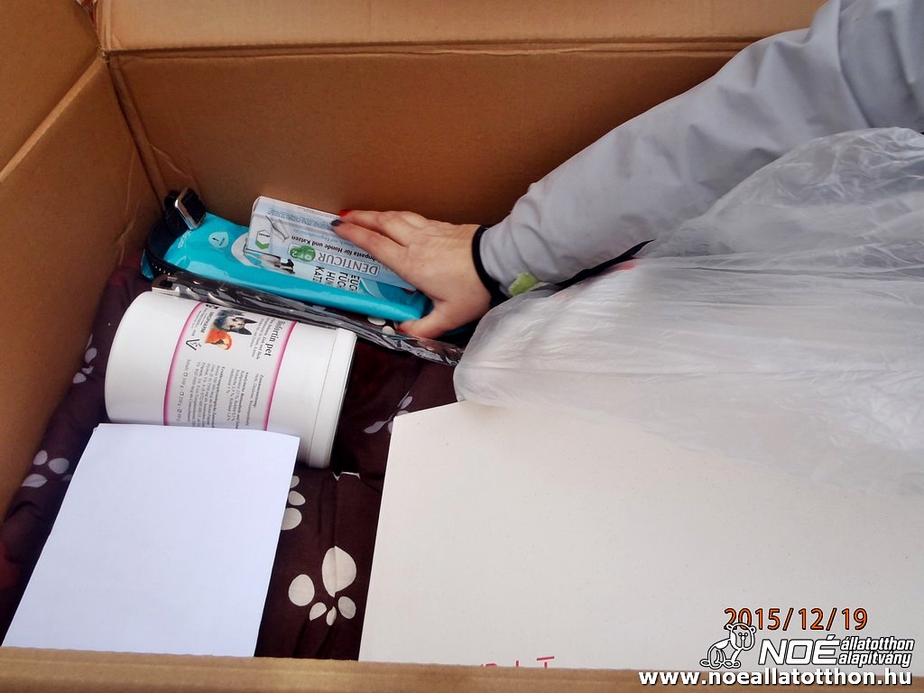 pc190158.jpg