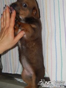 dscn0800.jpg