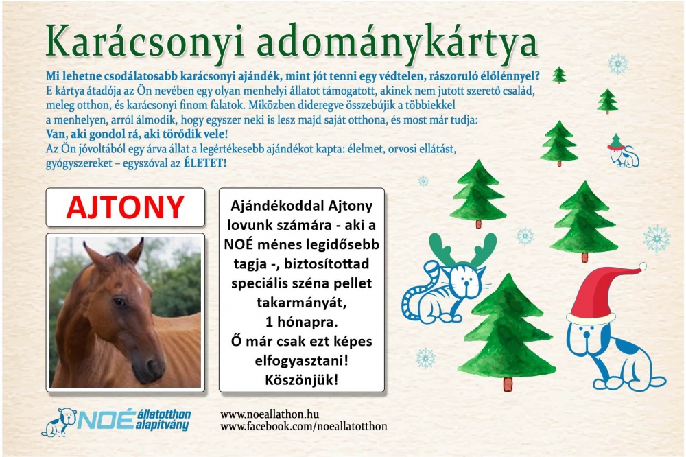 minta_ajtony_adomanykartya_03_noe2015.jpg