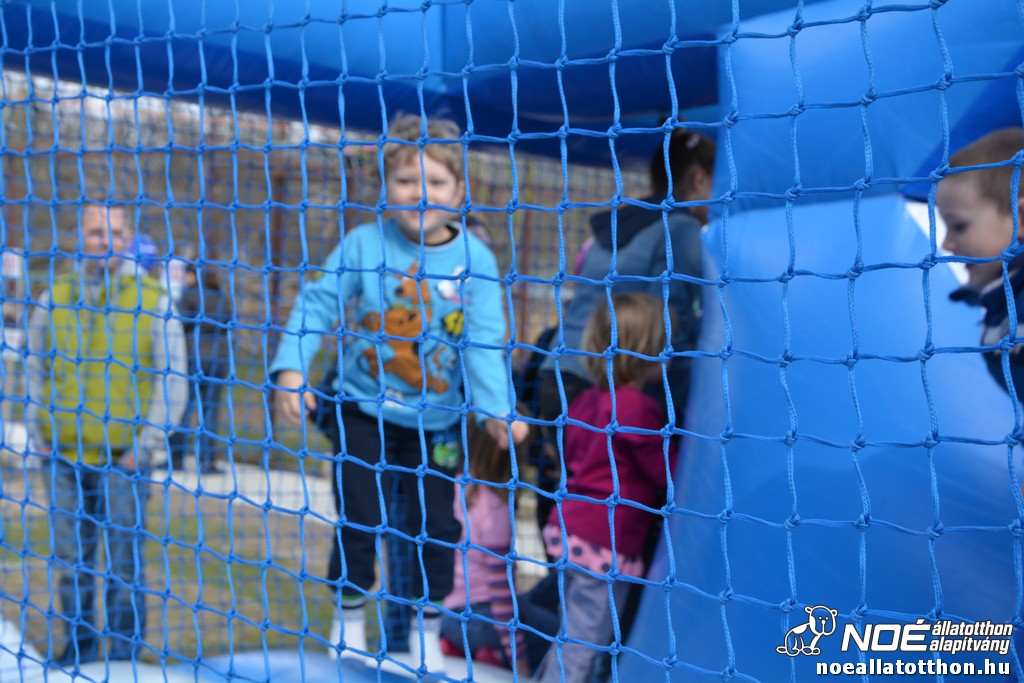 dsc_0068_2.jpg