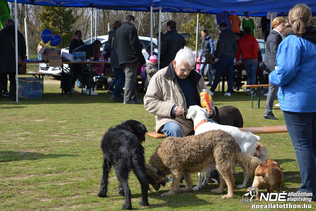 dsc_0078.jpg