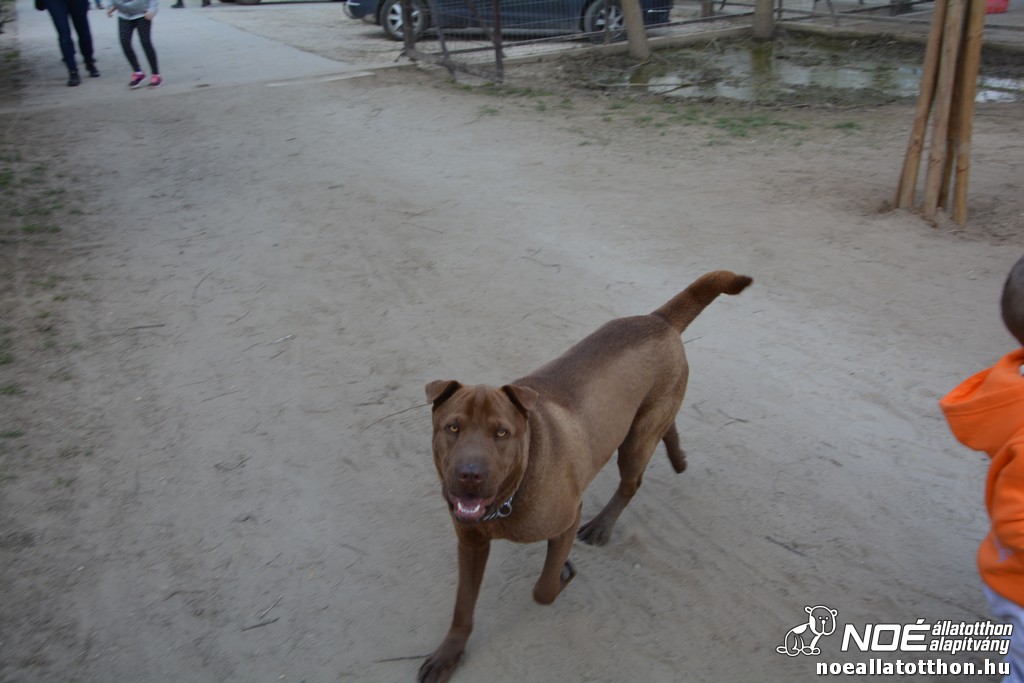 dsc_0123_2.jpg