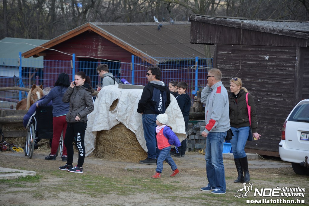 dsc_0129_2.jpg