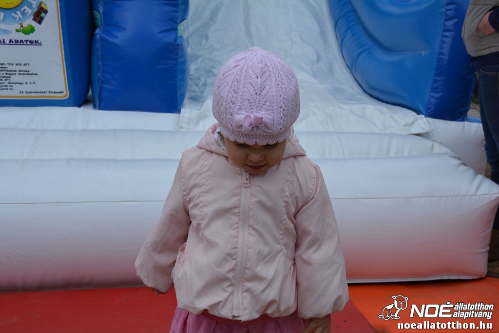 dsc_0148_2.jpg