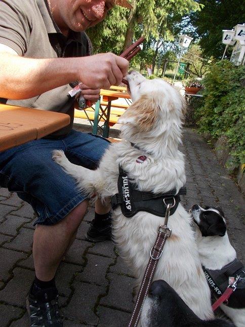 brotzeit_im_biergarten.jpg