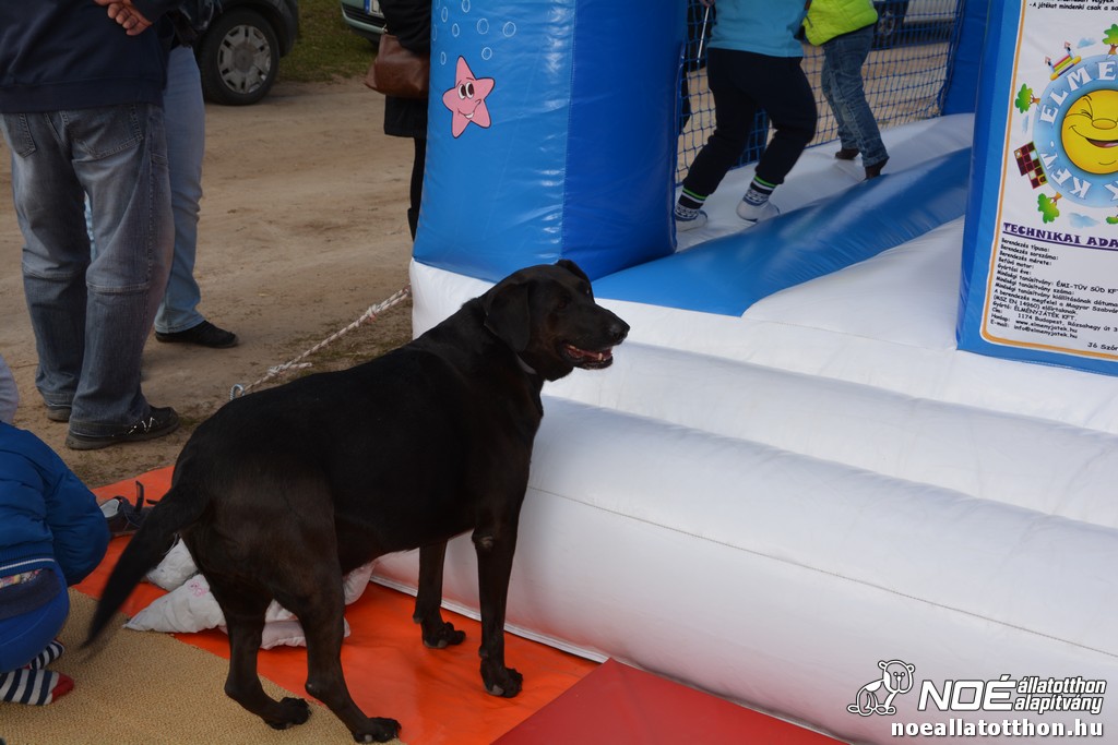 dsc_0088_2.jpg