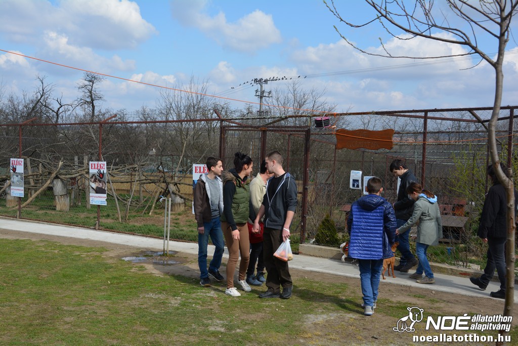 dsc_0094_2.jpg