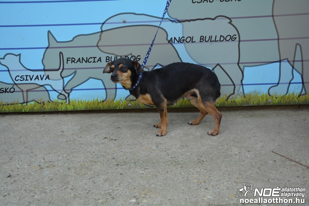 dsc_0639.jpg